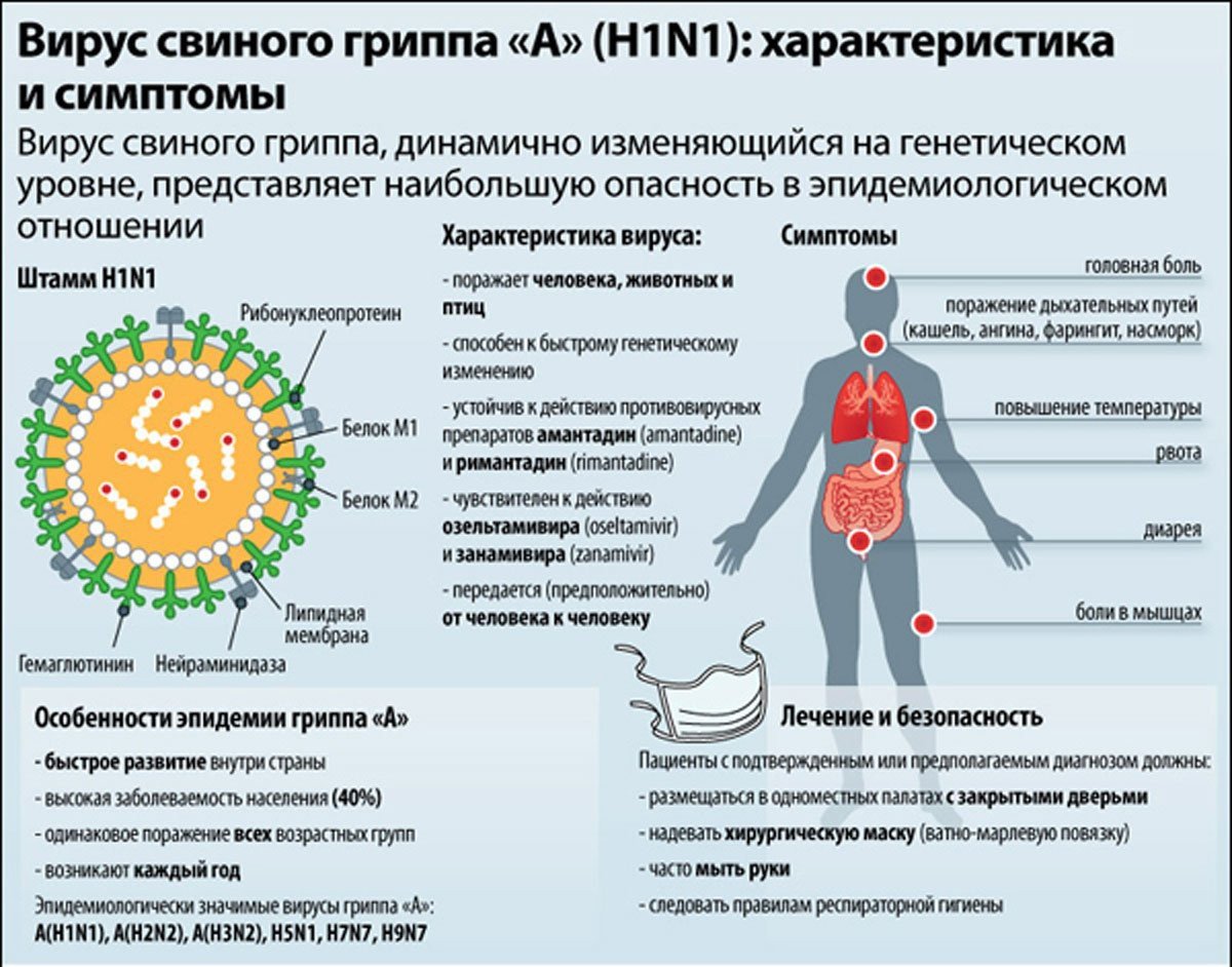 Поражение людей происходит. Вирус гриппа h1n1. Вирус свиного гриппа h1n1 для человека. Грипп h1n1 симптомы. Свиной грипп h1n1.