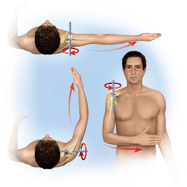 Диагностика подвижности плеча при периартрозе