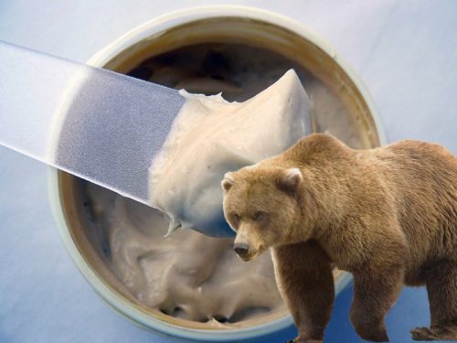 Медвежий жир для лечения суставов