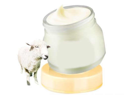 Лечение суставов овечьим маслом