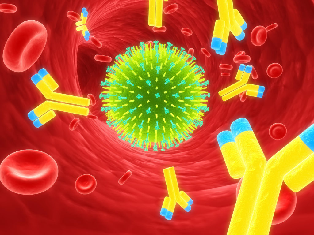Иммунитет от гриппа – как организм восстанавливается после борьбы с вирусом