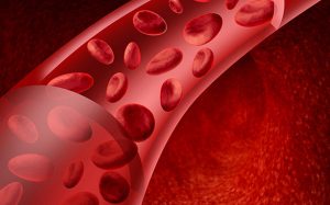 Улучшение микроциркуляции крови при помощи лазерной терапии