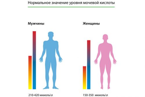 Нормальные показатели уровня мочевой кислоты в крови