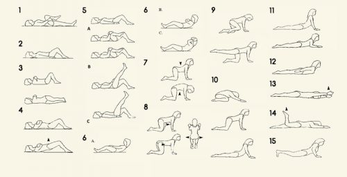 Упражнения для спины при грыже Шморля