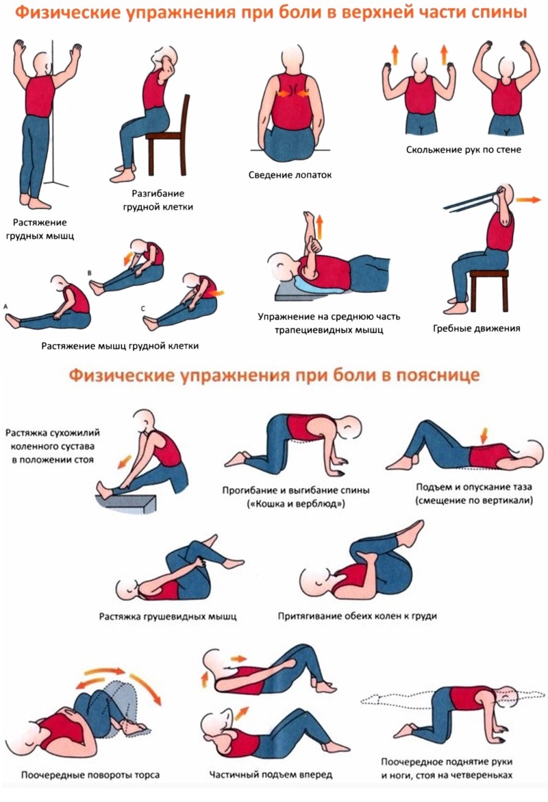 Упражнения при боли в спине