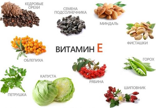 Продукты богатые витамином Е