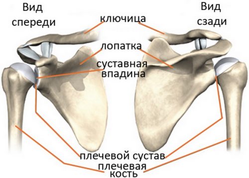 Замена головки плечевого сустава